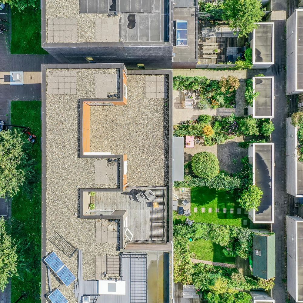 Drone View of Society